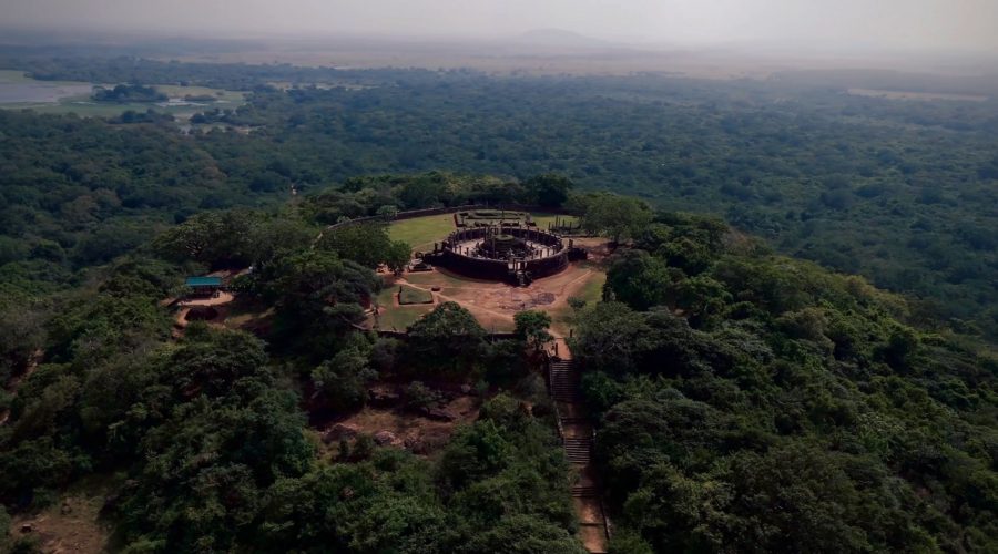 Mindful Breathing for Stress Management